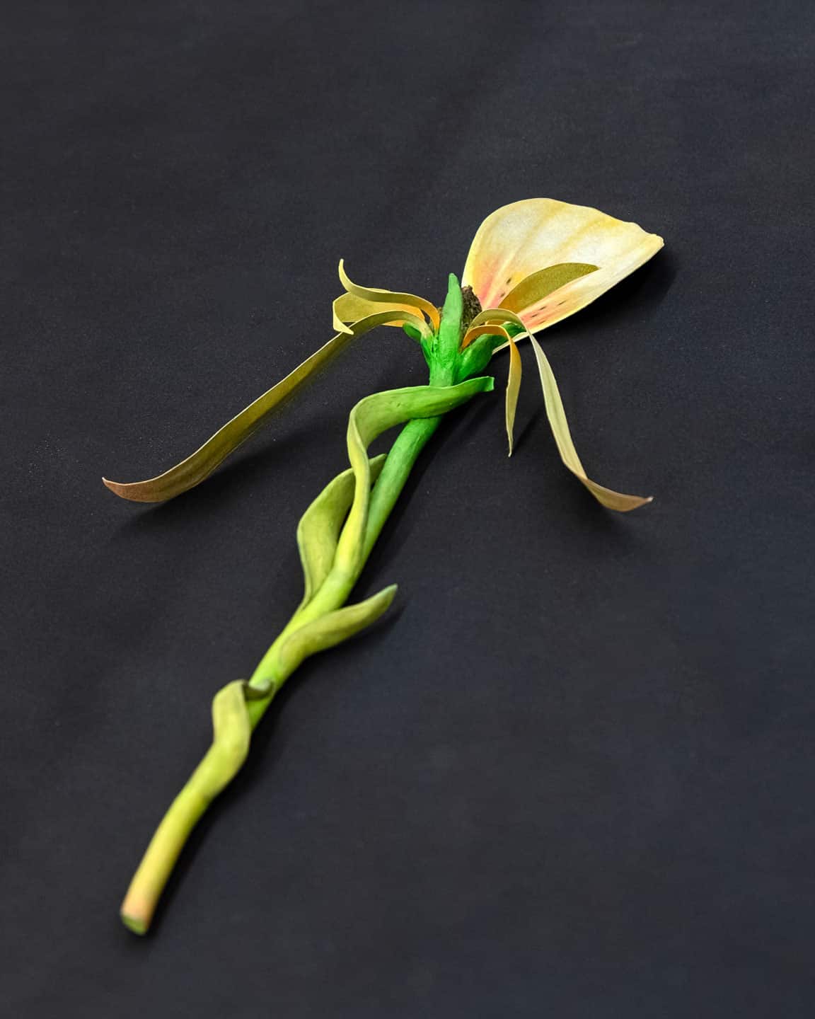 Zachari Logan, After Mary Delaney #2, 2018, 254×12×40mm / 10×4¾×1½in vitrified clay, acrylic, paper and pastel